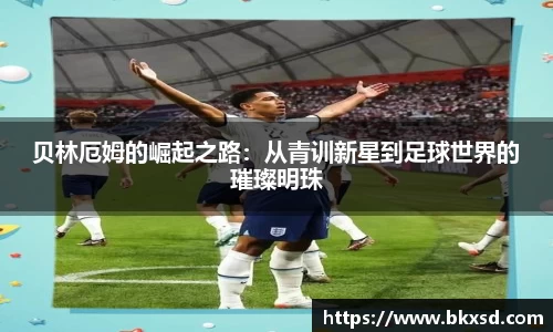 米兰体育官网